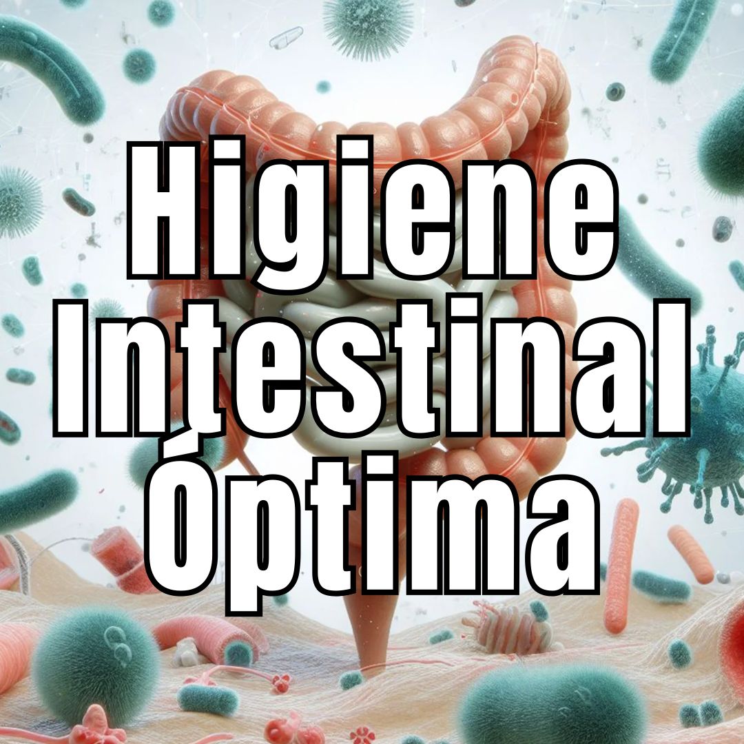 Lee más sobre el artículo Higiene Intestinal Optima
